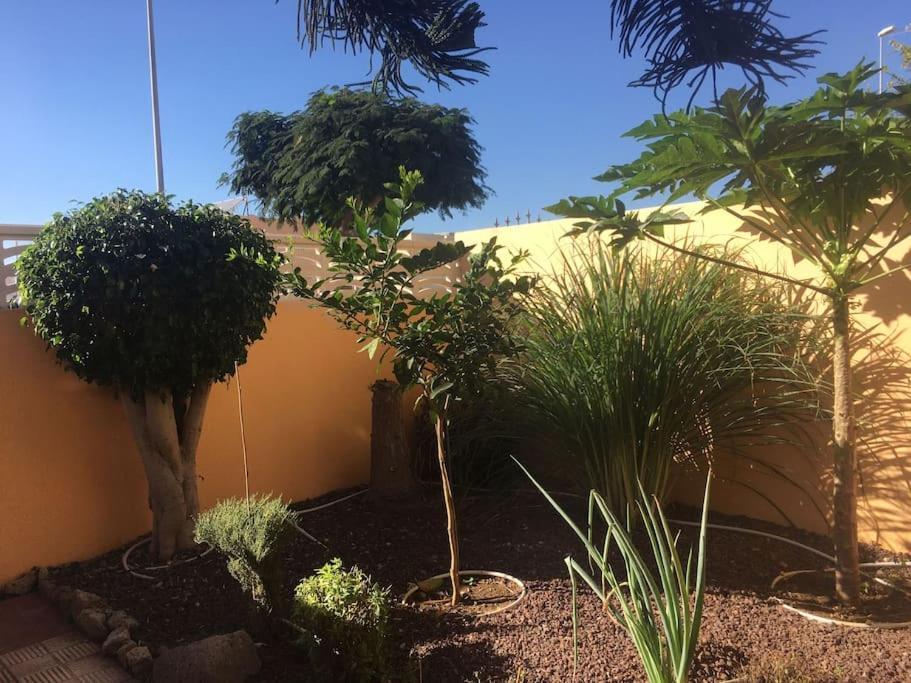 Independiente Estudio En Acogedora Casita De Mai Costa Adeje  ภายนอก รูปภาพ
