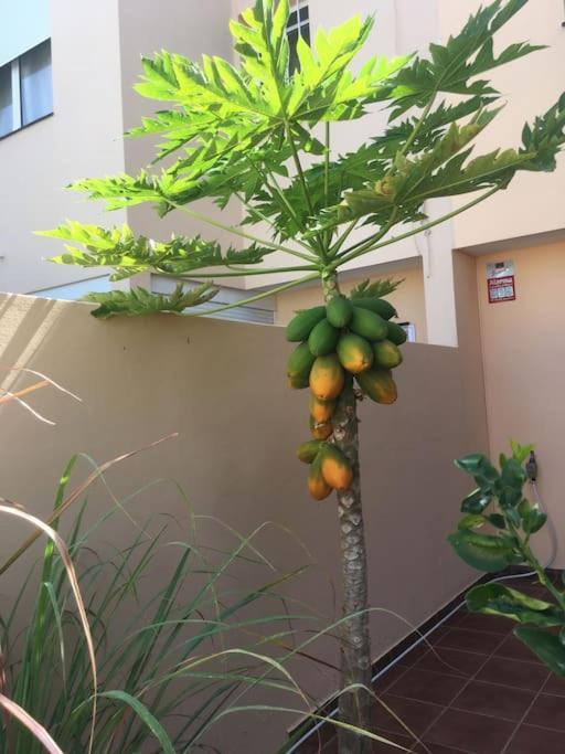 Independiente Estudio En Acogedora Casita De Mai Costa Adeje  ภายนอก รูปภาพ