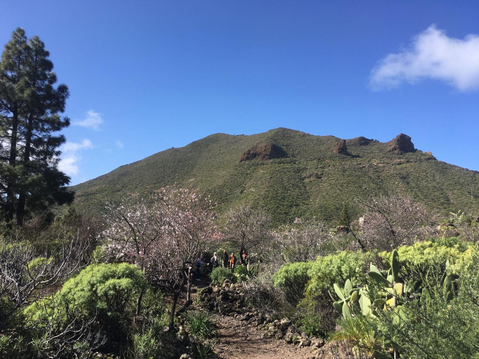 Independiente Estudio En Acogedora Casita De Mai Costa Adeje  ภายนอก รูปภาพ